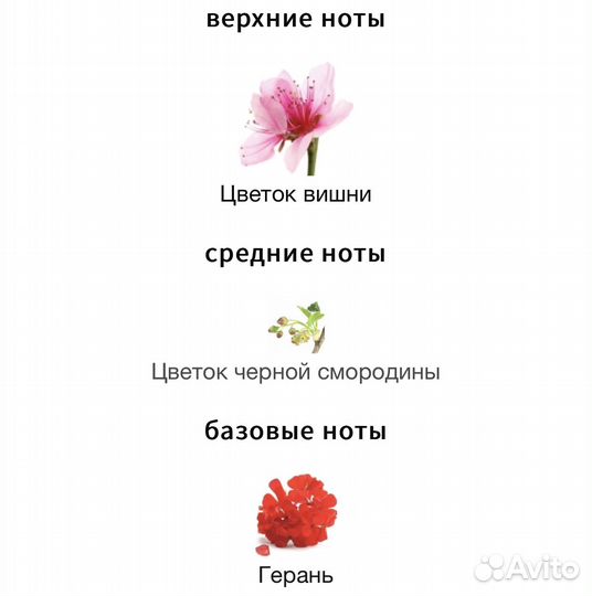 Парфюмерия Эсти Лаудер Dream Dusk