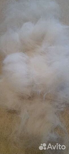 Собачья шерсть Хаски