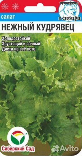 Семена салат в ассортименте