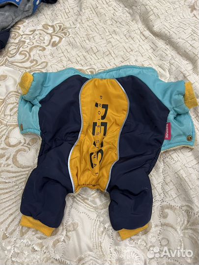 Комбинезон для собаки