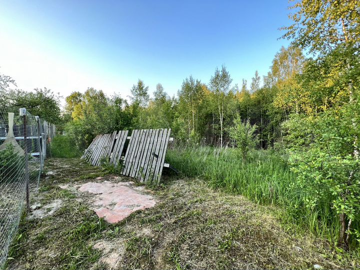 Участок 10 сот. (СНТ, ДНП)