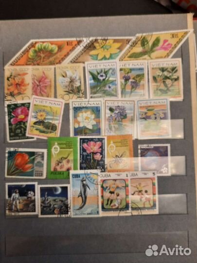 Почтовые марки