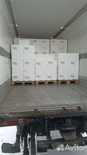 Лосось мурманская