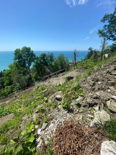 Участок 6 сот. (СНТ, ДНП)