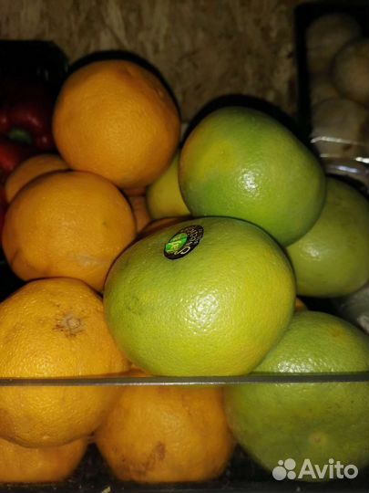 Продам яблоки