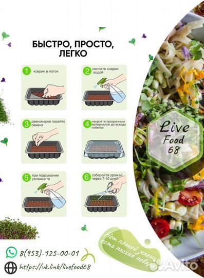 Наборы для выращивания микрозелени