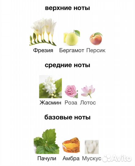 Pour Femme Les Contes 50 мл