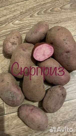 Цветной картофель на семена