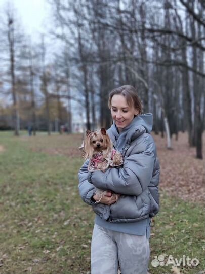 Передержка/выгул небольших собак