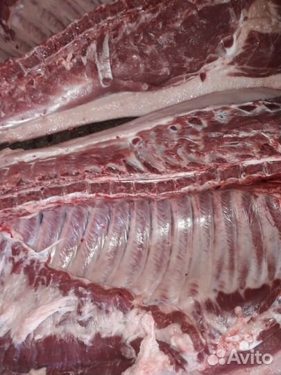Мясо свинина