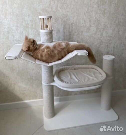 Когтеточка для кошек