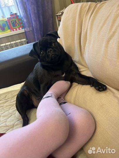 Вязка,девочка