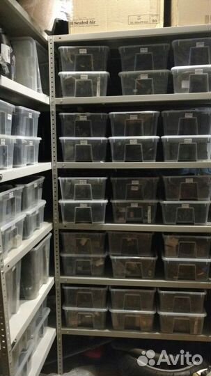 Johnson Evinrude выпрямитель 585001