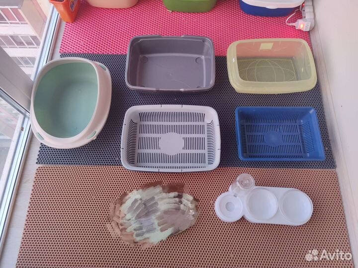 Лотки и миски для кошек и котят