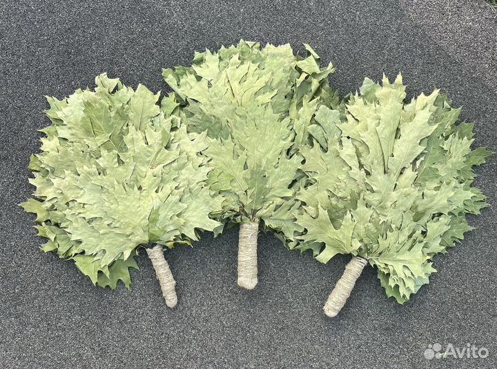 Веники для бани