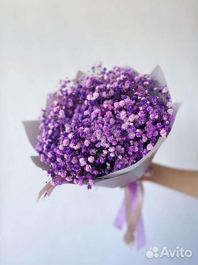 Букет из фиолетовой гипсофилы