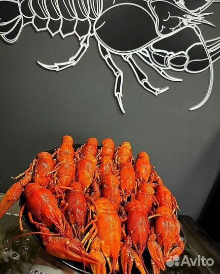 Живые и варёные раки