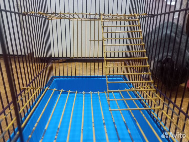 Клетка для грызунов бу