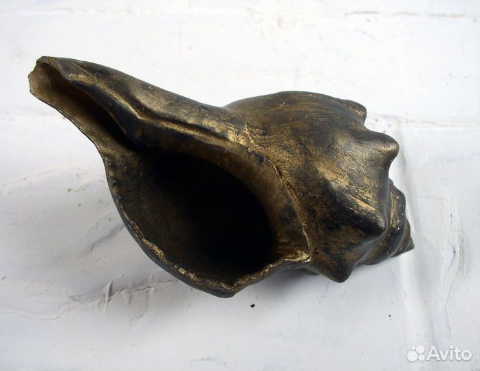 Ракушки: Морские Раковины Декор Каури Рапан Ципрея