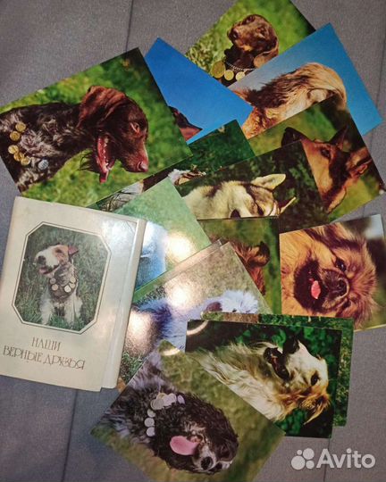Календарики и наборы открыток