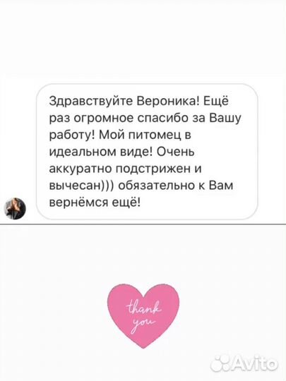 Стрижка собак ЖК Юбилейный квартал