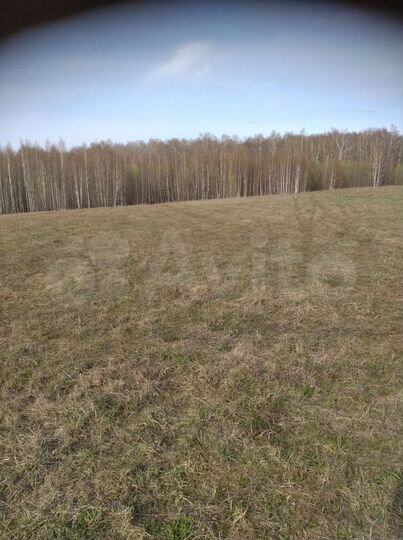 Участок 92 сот. (СНТ, ДНП)