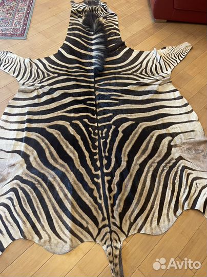 Шкура зебры