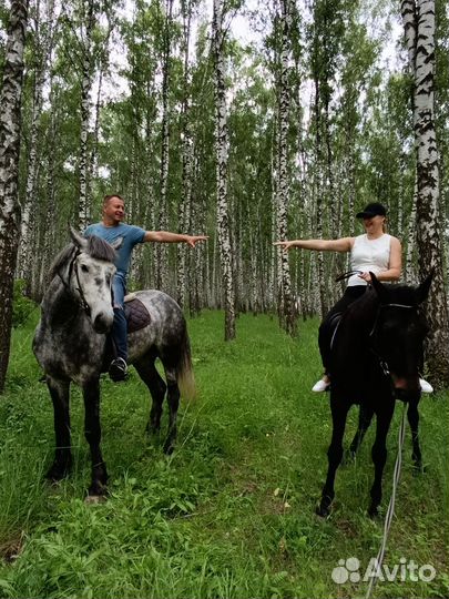 Романтические прогулки на лошадях,фотосессии и т.д