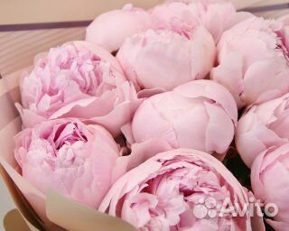 Букет из 11 розовых пионов (Premium) в упаковке