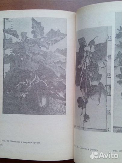 Настольная книга овощевода. 1989г