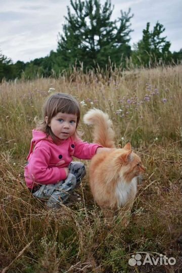 Детский фотограф