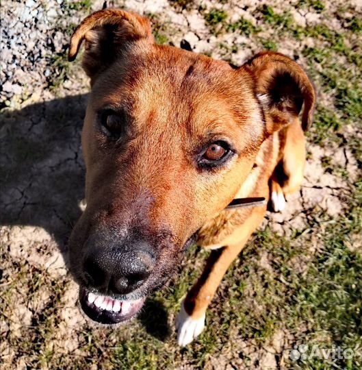 Помогите спасти