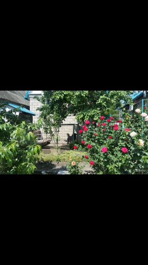 Дом 60 м² на участке 4 сот.