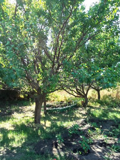 Дом 67,2 м² на участке 12 га