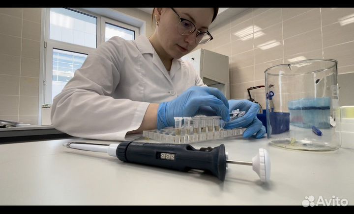 Репетитор по биологии, подготовка к впр, огэ и егэ