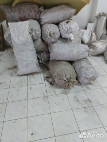 Картофель