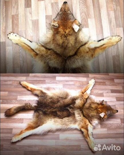 Шкура волка