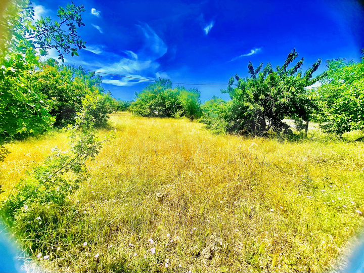 Участок 4 сот. (СНТ, ДНП)