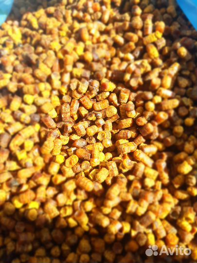 Перга пчелиная, Перга,пыльца,маточное молочко