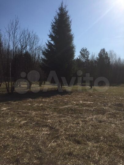 Участок 30 сот. (СНТ, ДНП)