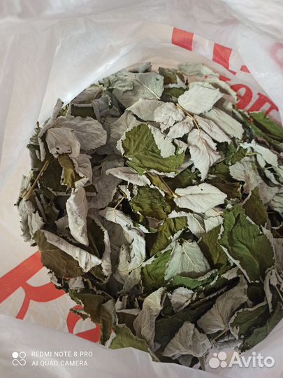 Сухие листья малины