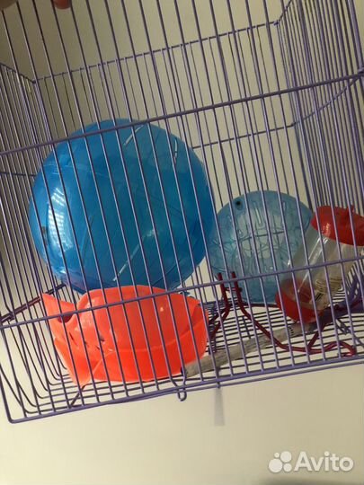 Клетка для хомяка
