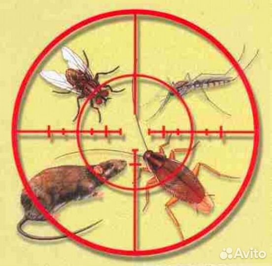 Для уничтожения клопов, тараканов, мышей, крыс