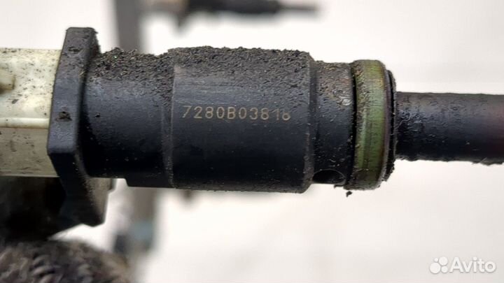 Форсунка топливная Mercedes R W251 2005