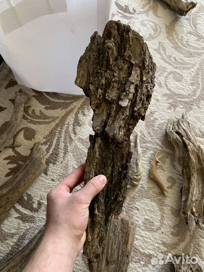 Коряги дрифтвуд