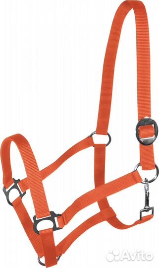 Недоуздок для лошади