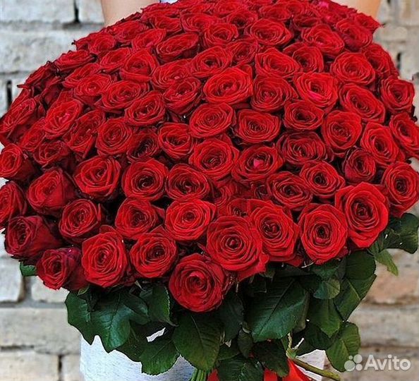 51 Роза, Букеты Цветы Розы 25 101 501 1001