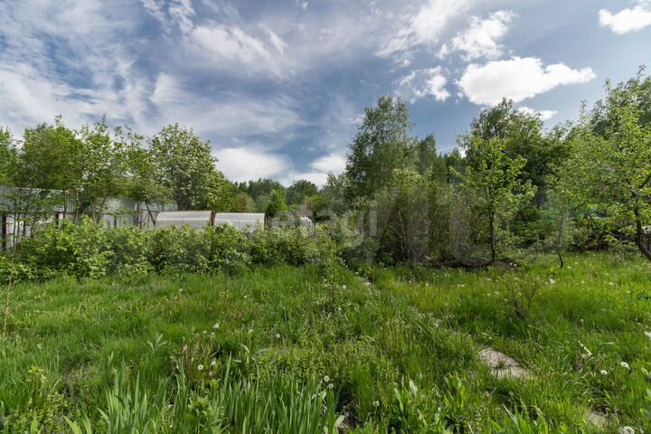 Участок 5,4 сот. (СНТ, ДНП)