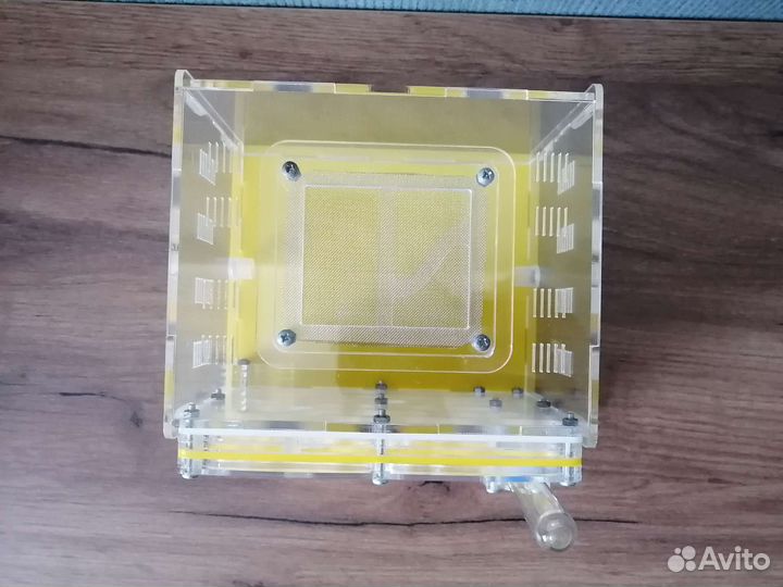 Муравьиная ферма