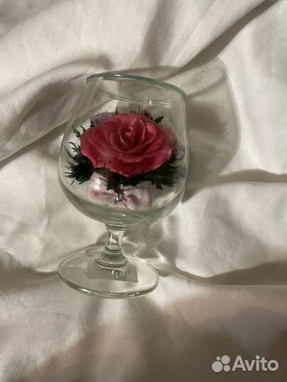 Вечная роза